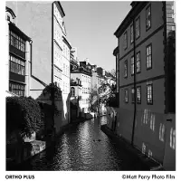 Ilford Fotojuosta ORTHO Plus 80 135/36