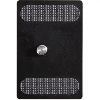 Vanguard QS-60 V2
