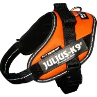 JULIUS K-9 Idc Power Mini Hundeseletøj