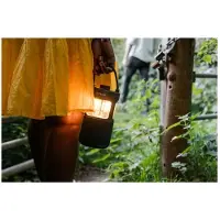 Pure Woodland Glow Bluetooth-højttaler