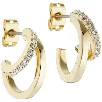 Ted Baker Øreringe 'HELIAS' guld / transparent