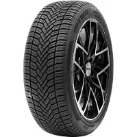 Delinte AW6