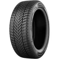 Dunlop Winter