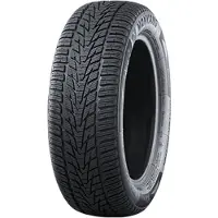 Nankang Winter Activa 4