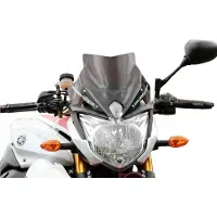 Bullster Yamaha Fz8n Racing Forrude