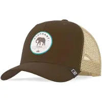 Hanukeii Elephant Truck Kasket