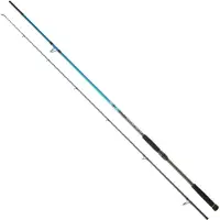 Daiwa Spitfire Seabass Spinnestang