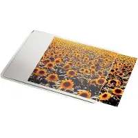 Esselte Musemåtte Dataline personal transparent 24 x 19 cm