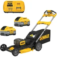 DeWalt DCMWSP156W2-QW, 1 stk