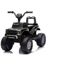 Ford Licensed Raptor F150