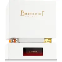Usorteret Brecourt Captive EDP 100 ml (unisex)