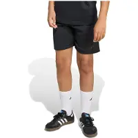 Adidas Tiro 25 Travel Shorts