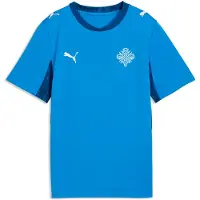 Puma Iceland 2026 Home Jersey Youth, Shop, Electro Royal/White, 11-12Y