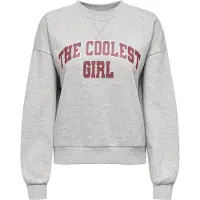 ONLY Sweatshirt 'ONLJo' lysegrå / mørkerød / sølv
