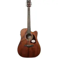 Ibanez AW54CE Artwood Open-Pore Natural
