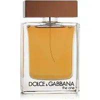 Dolce&Gabbana Dolce & Gabanna The One for Men 100ml Eau de Toilette