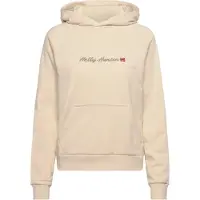 Helly Hansen Core Graphic Hættetrøje