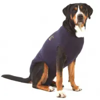 Medical Pet Shirt hund - blå - XXL