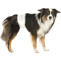 Trixie Bleer til hanhunde - XS - 12 stk.