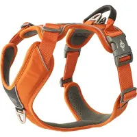 Dog Copenhagen Comfort Walk Pro Sele - Orange Sun - XS