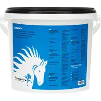 Pharmahorse L-Lysine - 3000 g