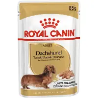 Royal Canin Adult Gravhund hundefoder