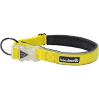 Beeztees Safety Gear Parinca Halsbånd - 35-40 x 2 cm