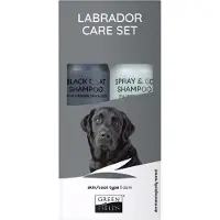 Greenfields Plejesæt Til Sort Labradorpels 250ml 2 Enheder