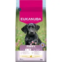 Eukanuba Puppy Large kylling hundefoder