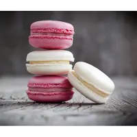 Wenko beskyttelsesglasplade MACARONS til væg 50 x 60 cm,