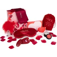 Dream Toys Dreamtoys - Amour - The Secrets Of Love Panty Play Kit