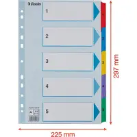 Esselte Register Mylar A4 1-5 flerfarvet