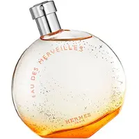 Hermès Paris Eau Des Merveilles 100ml 36760 Eau De Toilette