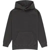Element Lowcase Pigment Hættetrøje