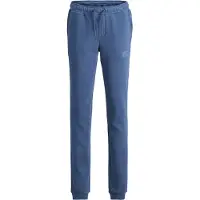 Jack & Jones Junior Bukser 'JJIGORDON' safir