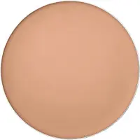 Shiseido Tanning Compact Foundation Sol makeup SPF 10 Refill Honey