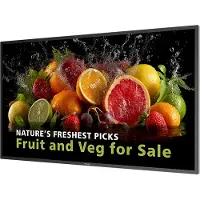 Philips 43BDL5050D - 43 Diagonal klasse (42.5 til at se) - 5000 Series LED-bagbelyst LCD paneldisplay - digital skiltning - Android - 4K UHD (2160p) 3840 x 2160