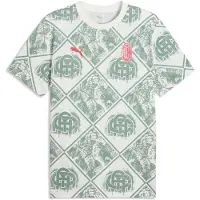 Puma AC Milan FtblCulture Printed Tee Men, Football, Warm White/Green Moon, 3XL