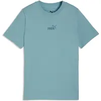 Puma Essentials No.1 Logo Tee Youth, Age, Seafoam, 7-8Y