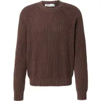 Hollister Pullover brun