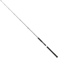 Daiwa Legalis Jigging Stang