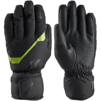 Zanier Rauris Gore-tex Handsker