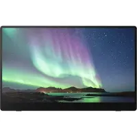 Ricoh 15.6" 150BW - OLED monitor - Full HD (1080p) - 15.6"