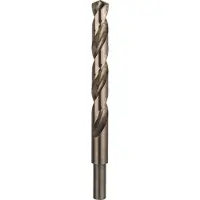 Bosch Pro Hss-co Din 338 13x101x151 Metalbor