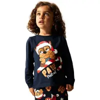 Name it Paw Patrol Jul Natsæt