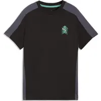 Puma Active Sports Graphic Tee Youth, Clothing, Black, 15-16Y