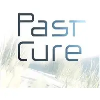 Sony Ps4 Past Cure