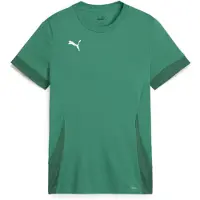 Puma Funktionsskjorte siv / mørkegrøn / hvid