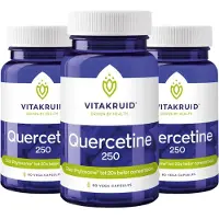 Vitakruid Quercetine 250 - 60pcs