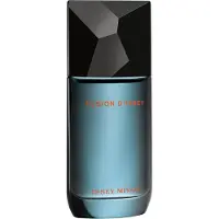 Issey Miyake Fusion D'Issey Eau De Toilette 100ml
